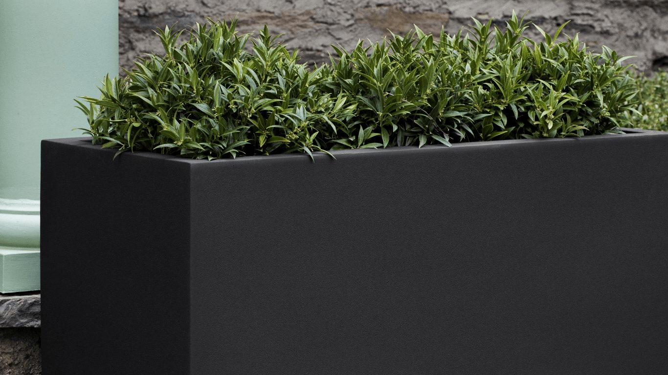 Shop Campania International | Delivery & Pick Up Available