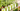 Candles Header
