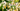 Climbers Header