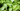 Easy Care Indoor Plants Header