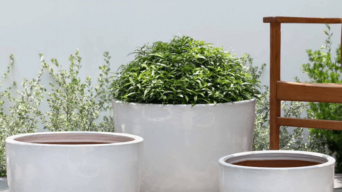 indoor planter with saucer Zelle Planter with Saucer 9"X5.5"  Chalet