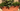 Plastic Planter Header