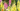 Sun Annuals Header