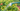 Supplies Header