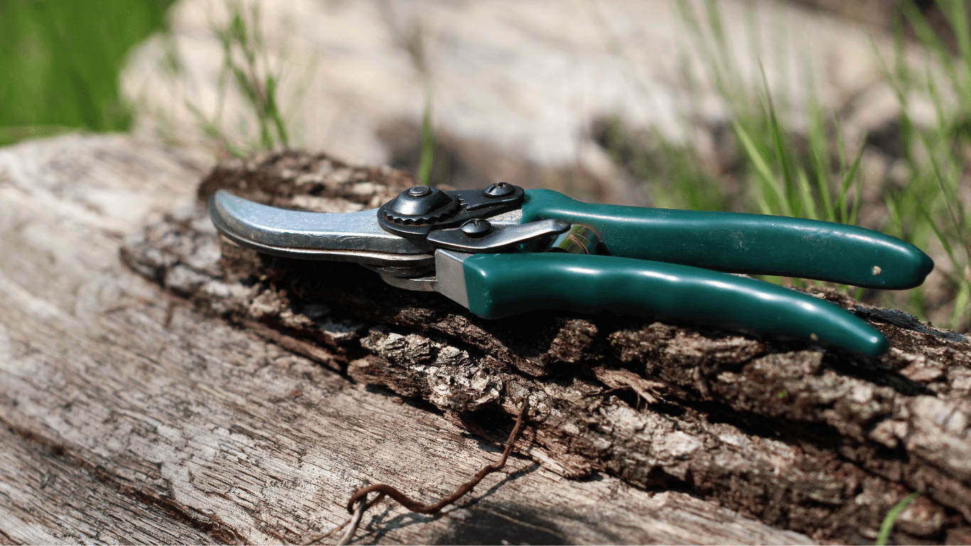 Garden Tools & Accessories – Chelsea Garden Center