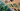 Trellis, Saucers & Plant Stands Header