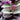 Tradescantia Bubblegum