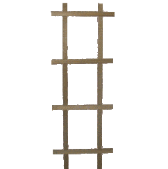 wood modern ladder trellis Ladder Trellis – Chelsea Garden Center