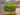 Boxwood 'Green Mountain' Screen