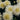 Close-up of white flowers with a blurred green background