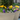 Commercial Landscape Services Brooklyn