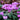 Cyclamen Purple Mini