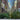 Brooklyn MetroTech Holiday Tree Installation