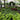 MetroTech Brooklyn Commercial Design Installation