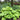 MetroTech Brooklyn Commercial Design Installation