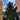 Brooklyn MetroTech Holiday Tree Installation