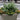 Commercial Landscape Services Brooklyn