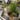 Commercial Landscape Services Brooklyn