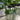 Brooklyn Residential Landscaping Design