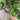 Brooklyn Residential Landscaping Design