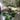 Brooklyn Residential Landscaping Design