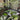 Brooklyn Residential Landscaping Design