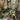 Brooklyn Residential Landscaping Design