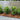 Brooklyn Custom Residential Landscaping Progress