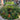 Commercial Landscape Services Brooklyn