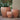 Mekong Wave Planter