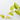Neon Pothos Epipremnum