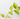 Neon Pothos Epipremnum