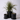 Medium Matte Black Cylinder With Saucer
