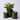 Small Pine Green Cylinder With Saucer