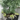 Brooklyn Residential Landscaping Design