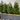 Brooklyn Residential Landscaping Design