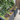 Brooklyn Residential Landscaping Design