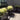 Brooklyn garden design