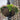 Long Island City Commercial Design Services Hanging Baskets