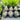 Sempervivum Chick Charms® 'Mint Marvel'™ (Hens & Chick)