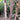 Betula 'Heritage' (Clump River Birch)