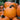 Extra Large Pumpkins