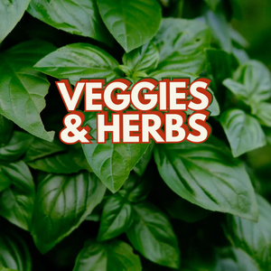 Veggies & Herbs