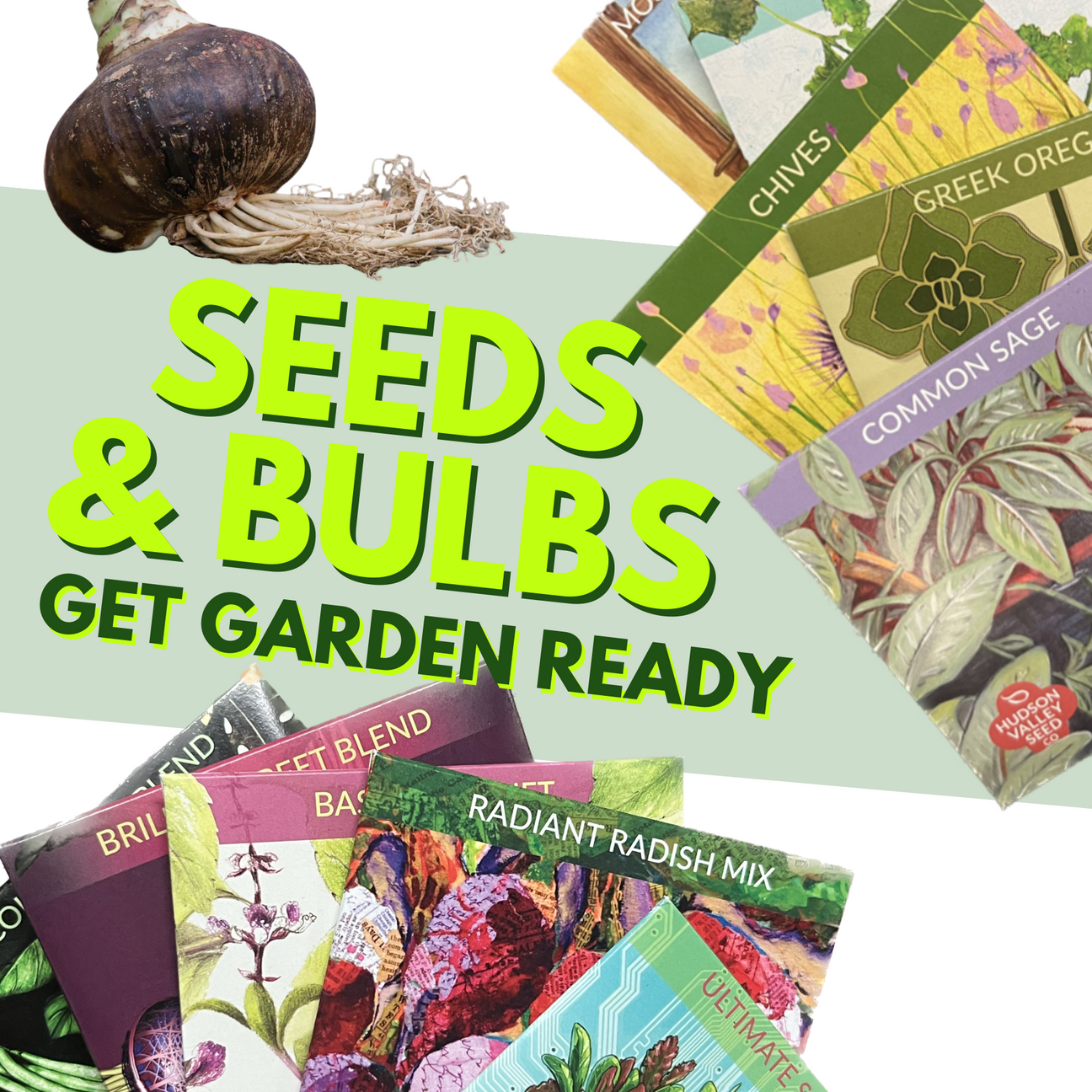 Seeds & Bulbs: Get your Garden Started!