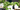Benefits of Houseplants for Your Home or Office