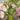 Late Winter Garden Tips & Planning Header