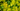 Ground Cover Header