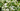 Hanging Basket Indoor Plant Header