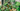Indoor Plants Header