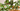 Trending Header